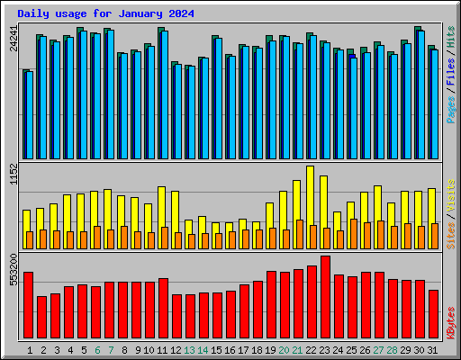 Daily usage for January 2024