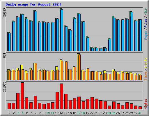 Daily usage for August 2024