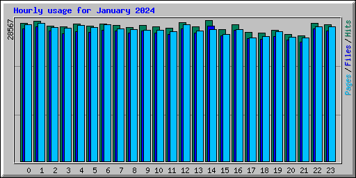 Hourly usage for January 2024