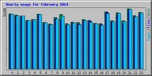 Hourly usage for February 2024