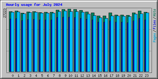 Hourly usage for July 2024