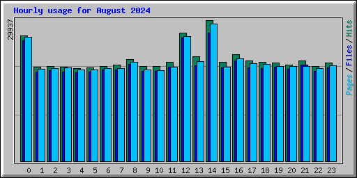 Hourly usage for August 2024