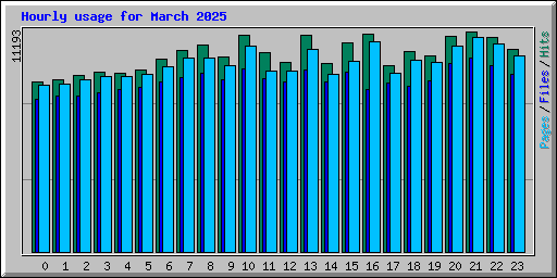 Hourly usage for March 2025